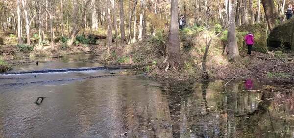 Movie: Undershot water wheel was in the cut on the right, 15:07:12, 29.9663566, -82.7602500 (20M)