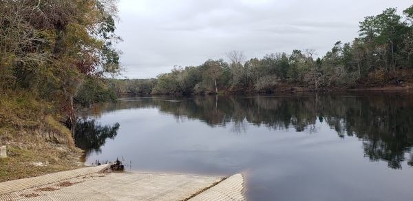 Royal Springs Ramp other, Suwannee River @ 157 Drive 2023-12-13