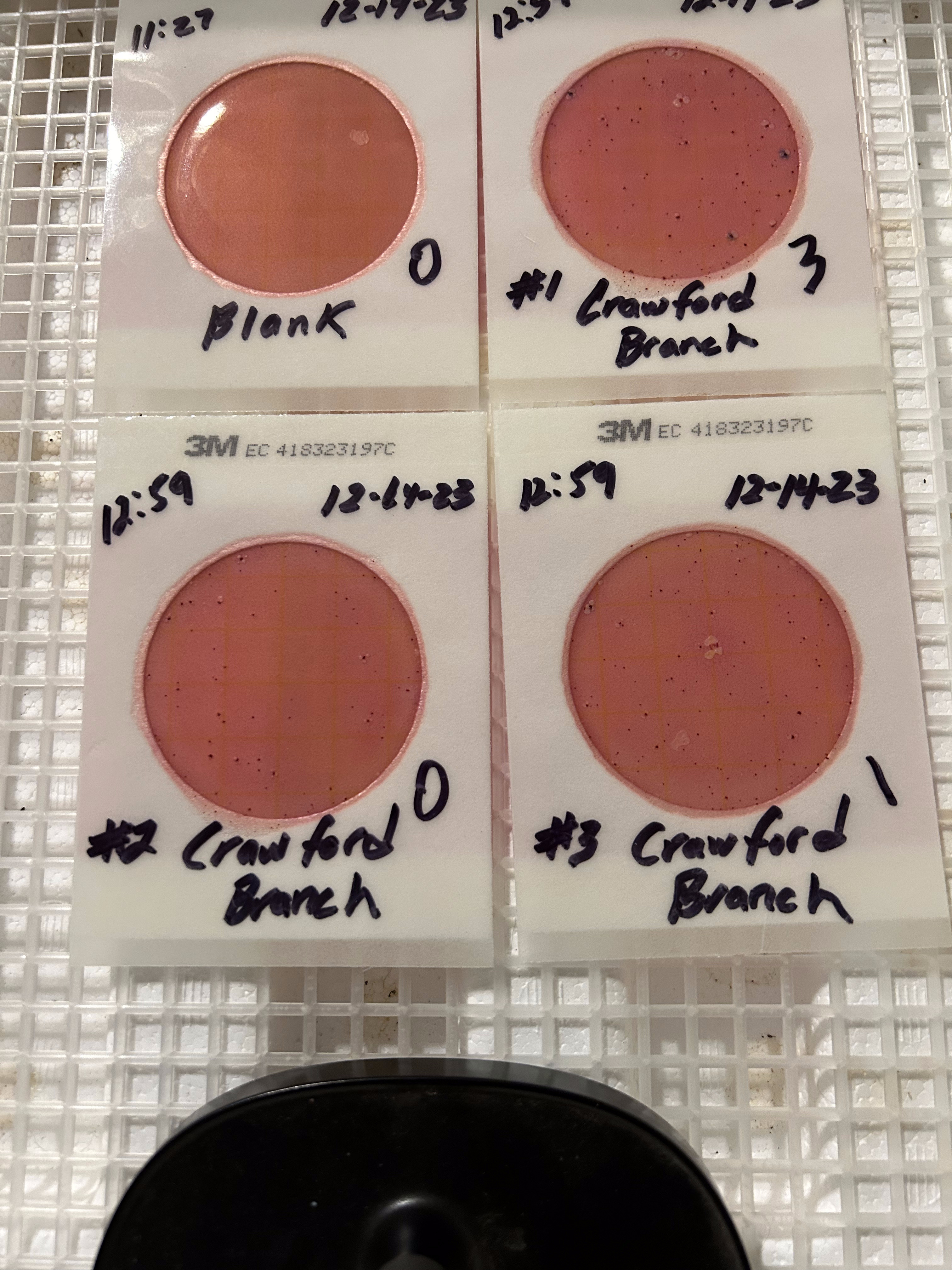 Plates, Crawford Branch 2023-12-14