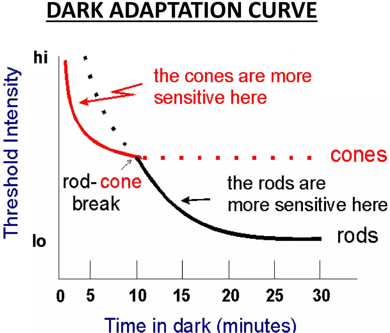 Light and dark adaptation chinnu (slide 13)