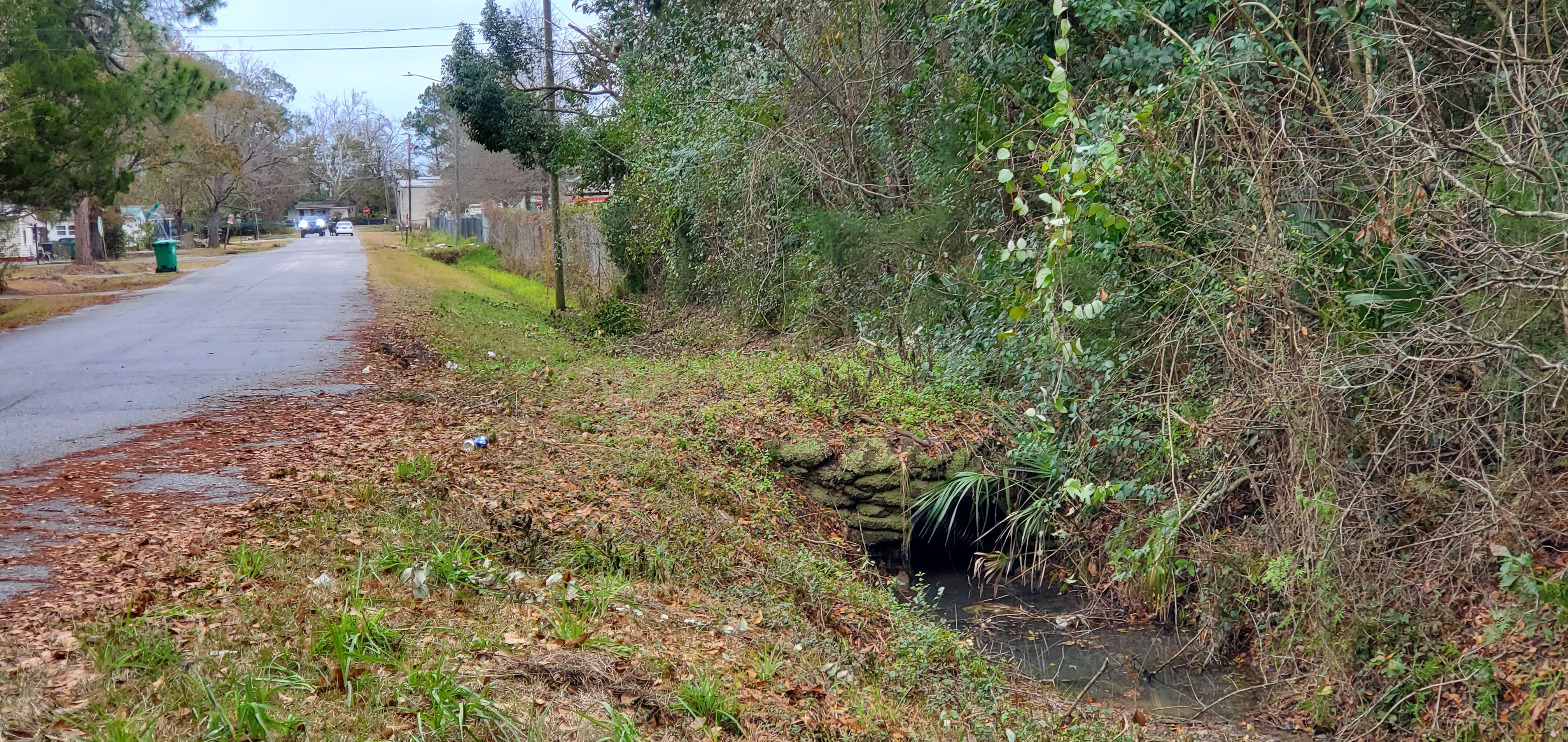 Ditch along Eastview Road at Price Street, 11:52:52, 30.8402350, -83.2560096