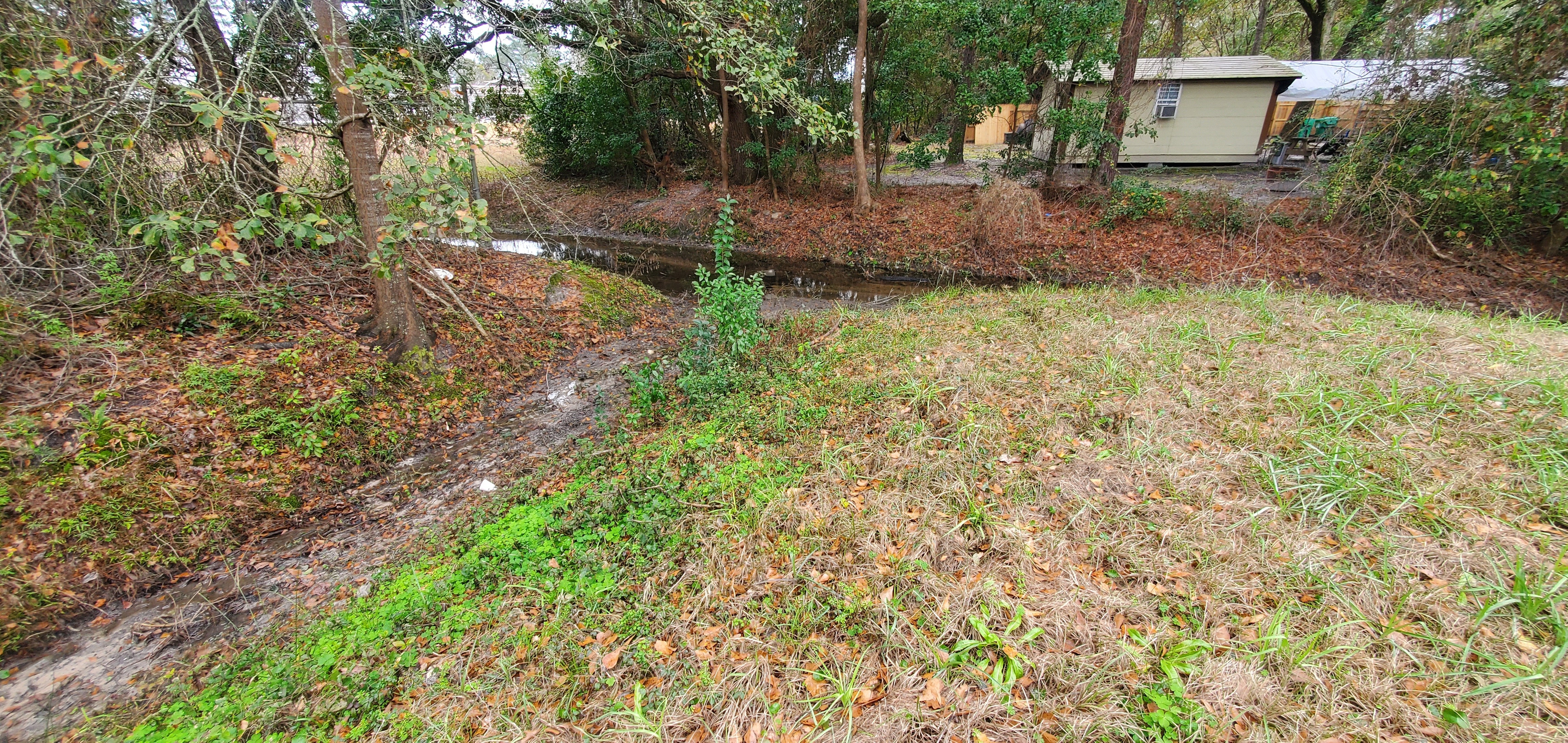 Looking down the Eastview Road ditch and across Knights Creek Cypress Street Branch along Price Street, 11:53:00, 30.8402350, -83.2560096