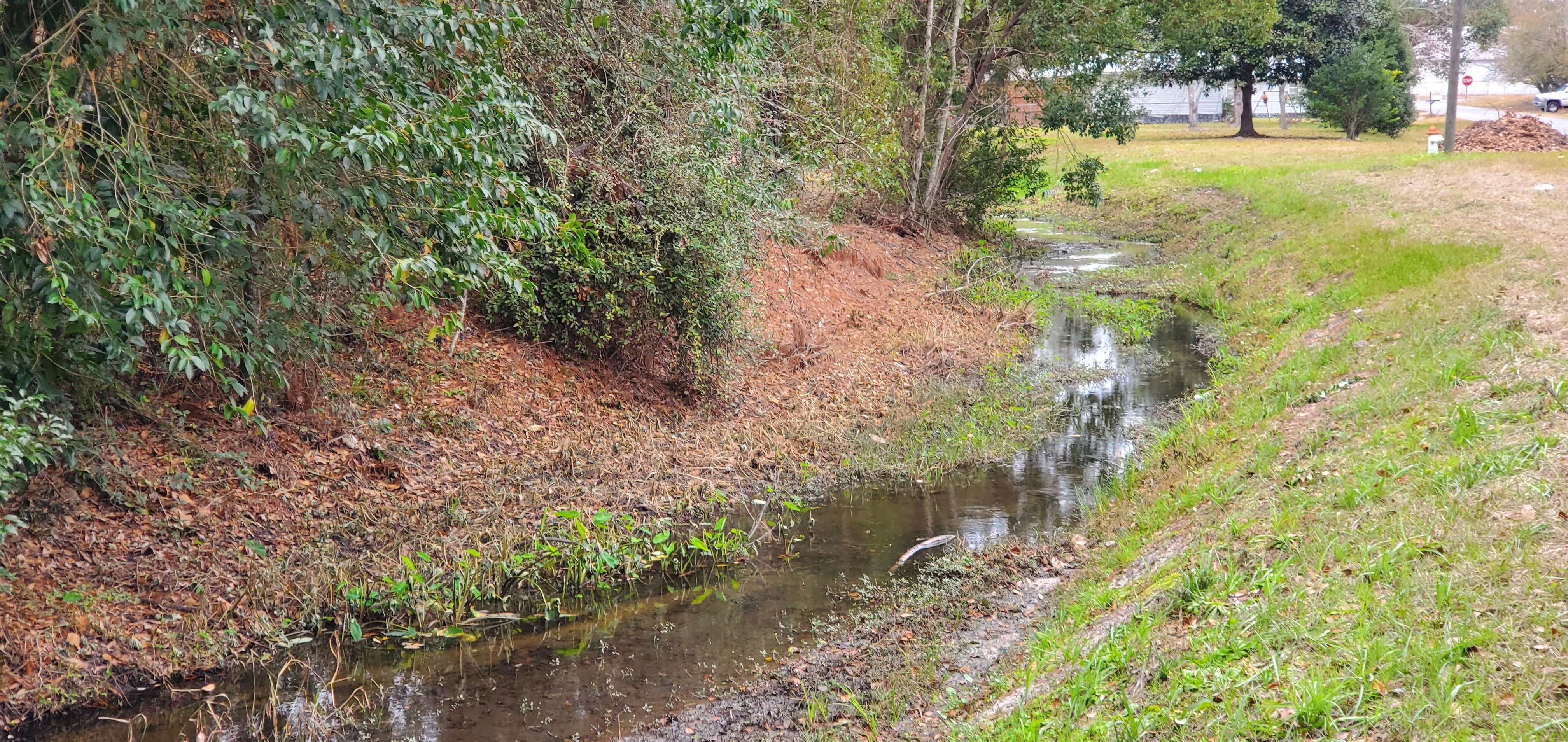 Closeup, Knights Creek Cypress Street Branch along Price Street, 11:53:27, 30.8402350, -83.2560096