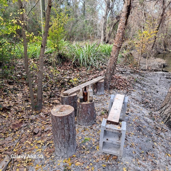 Benches, Sugar Creek, Withlacoochee River @ Gornto Road 2023-12-27