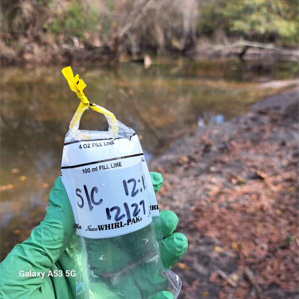 Sample, Sugar Creek, Withlacoochee River @ Gornto Road 2023-12-27