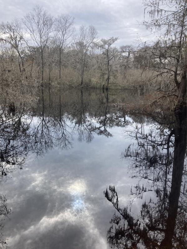 Three Rivers Gauge other, Santa Fe River @ Santa Fe Road 2023-12-28