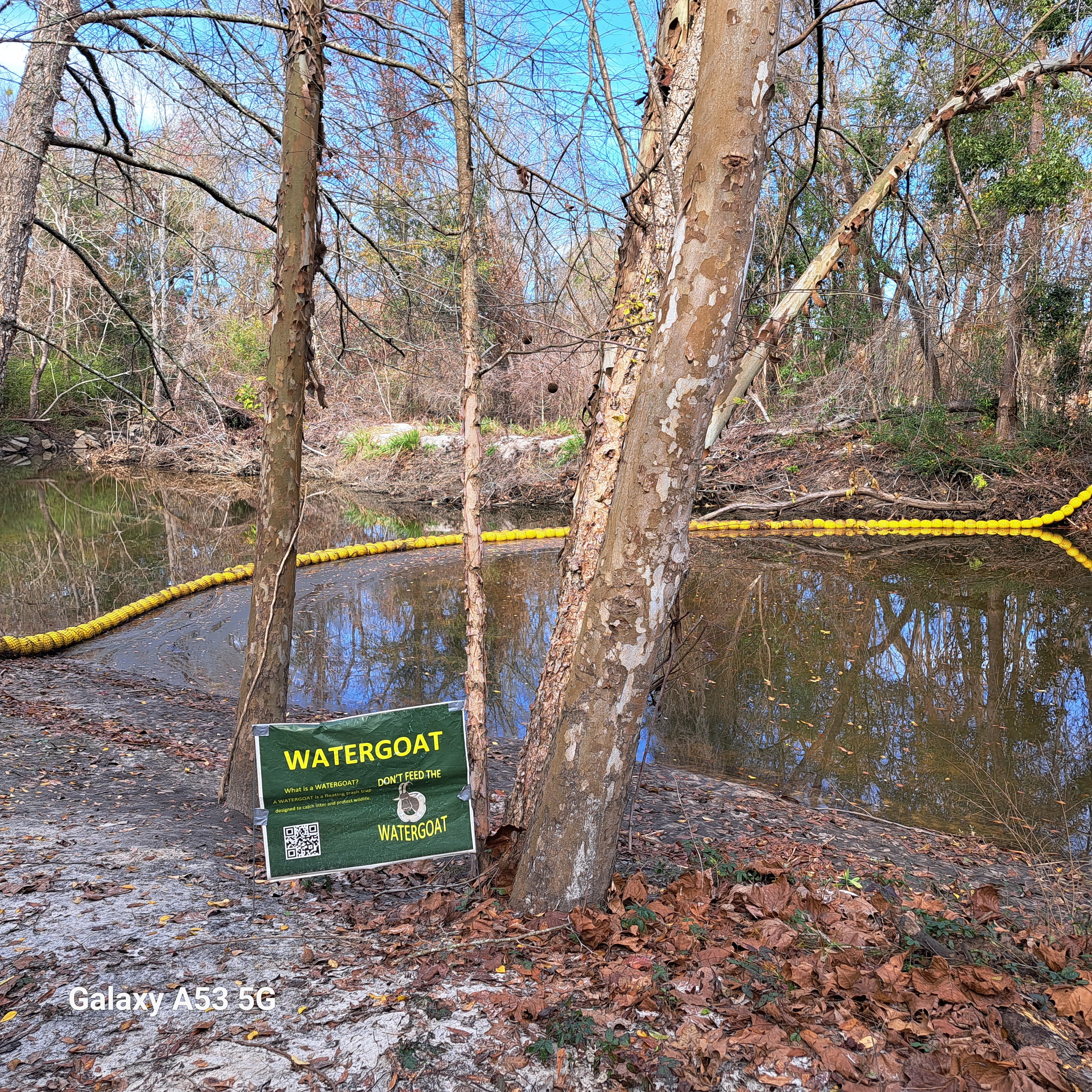 Sugar Creek, Withlacoochee River @ Gornto Road 2023-12-27