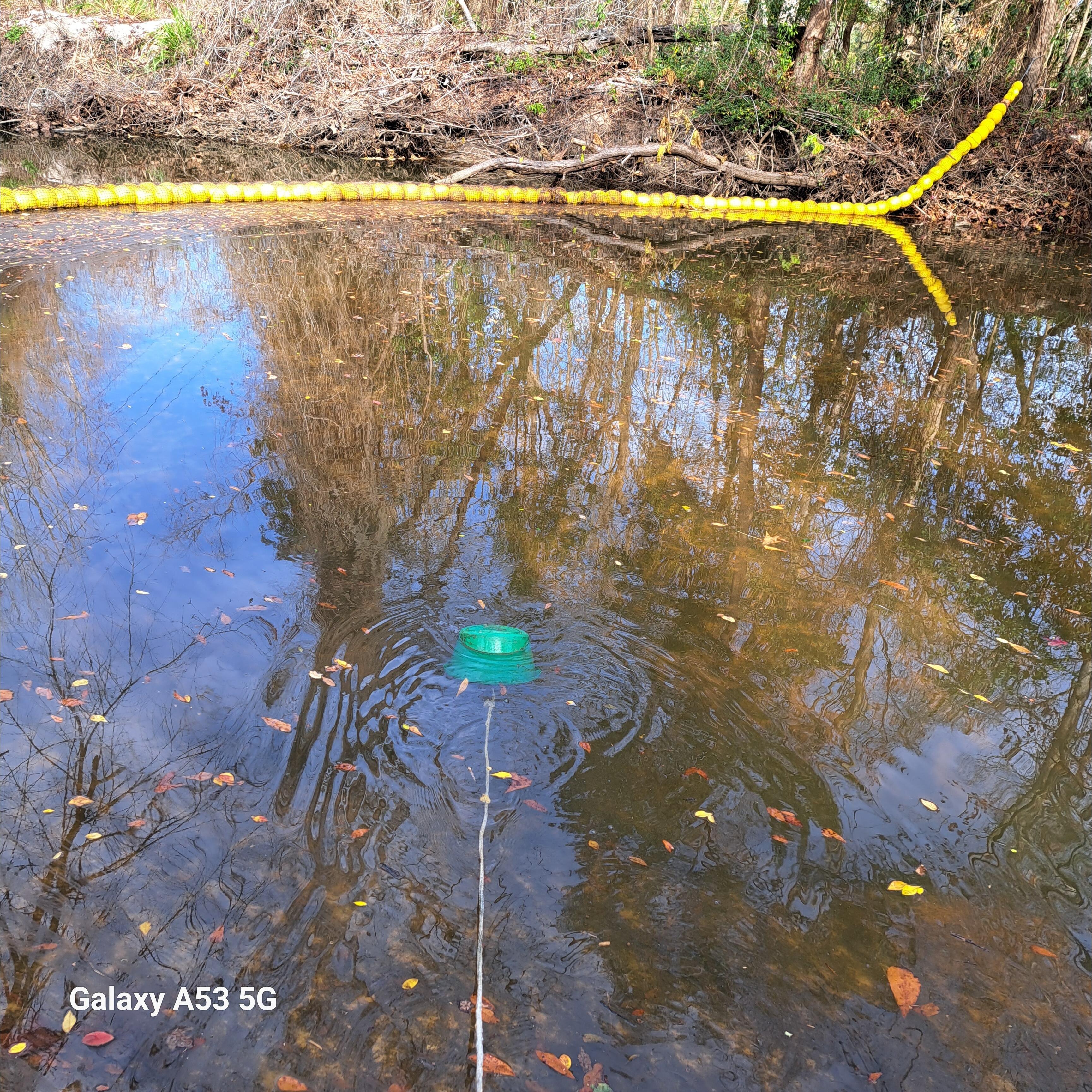 Bucket, Sugar Creek, Withlacoochee River @ Gornto Road 2023-12-27