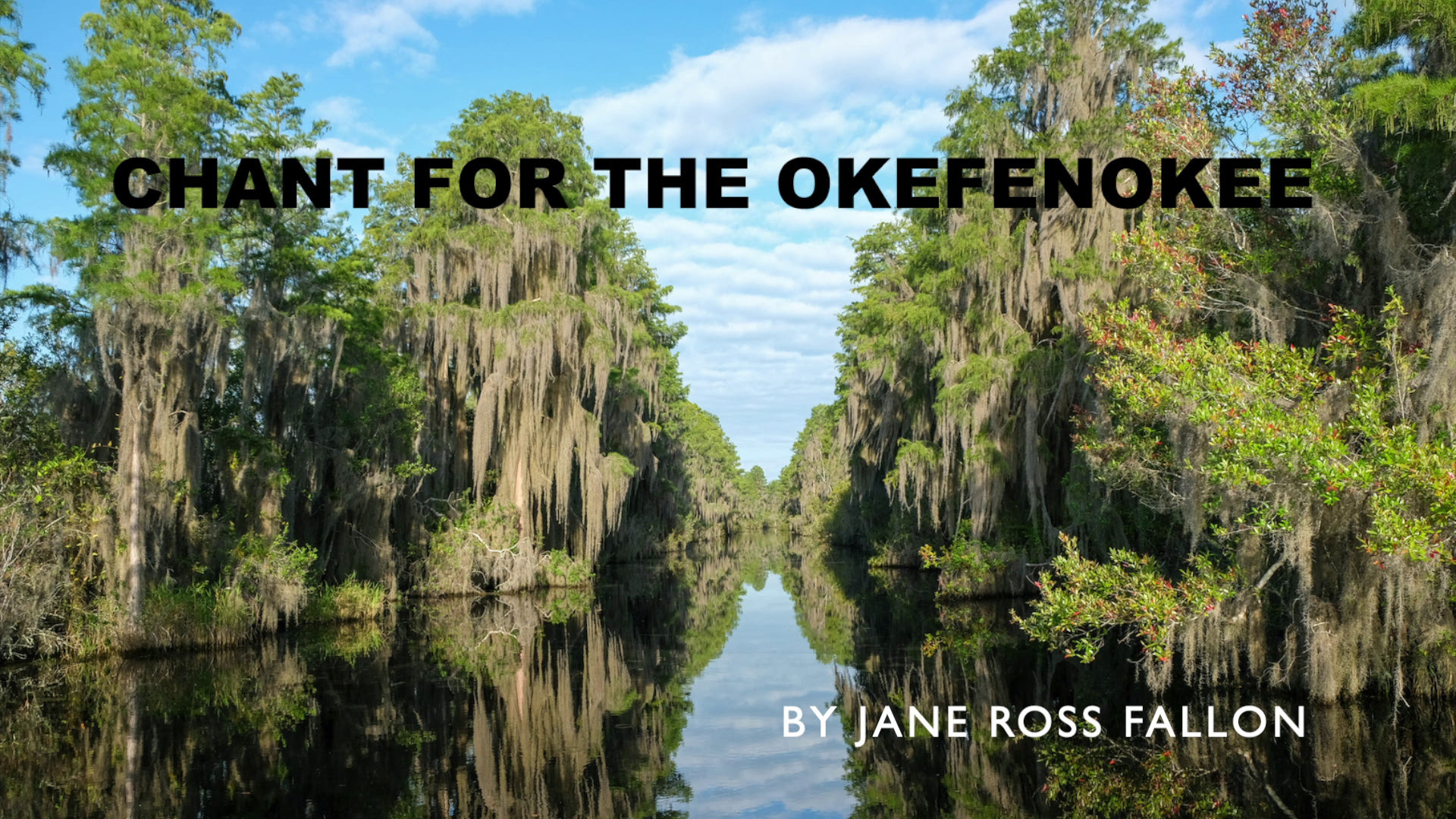 Chant for the Okefenokee by Jane Ross Fallon