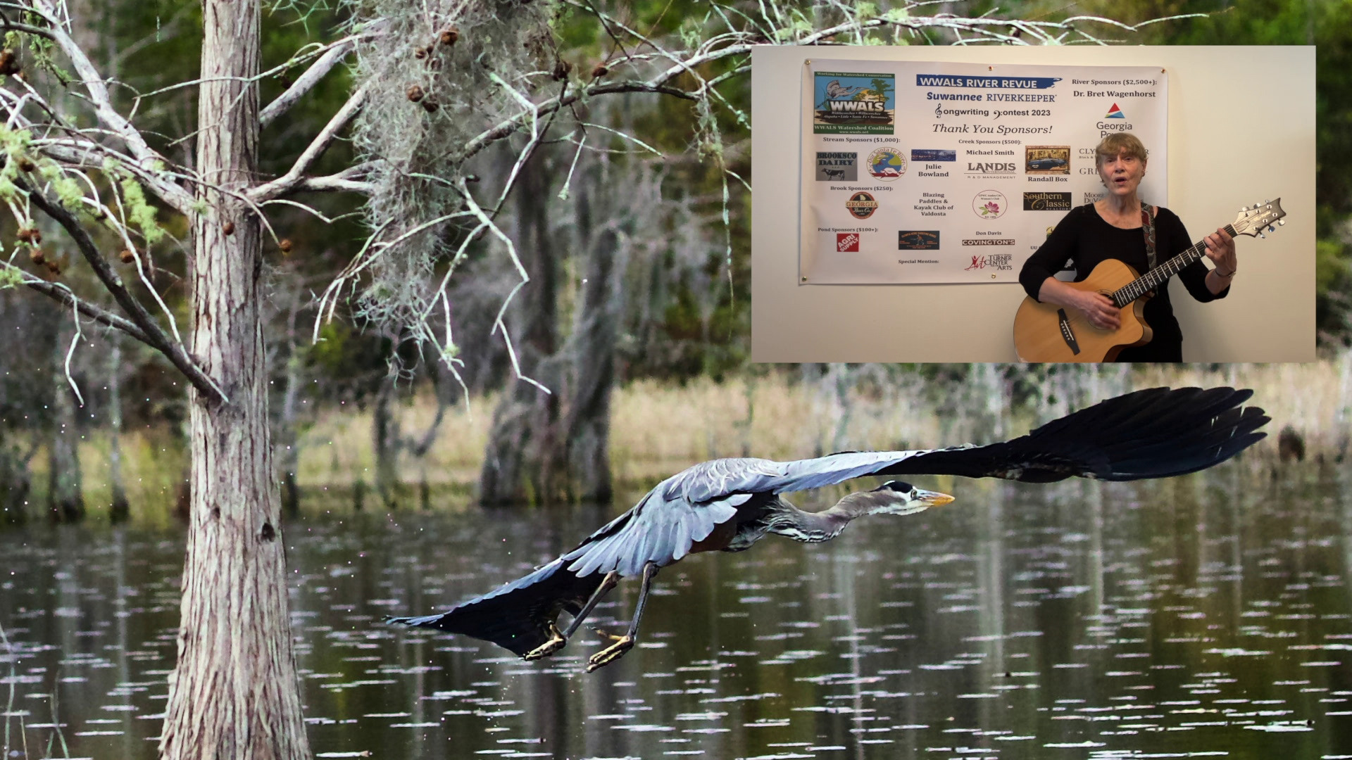 Movie: Chant for the Okefenokee --Jane Ross Fallon (8.5M)