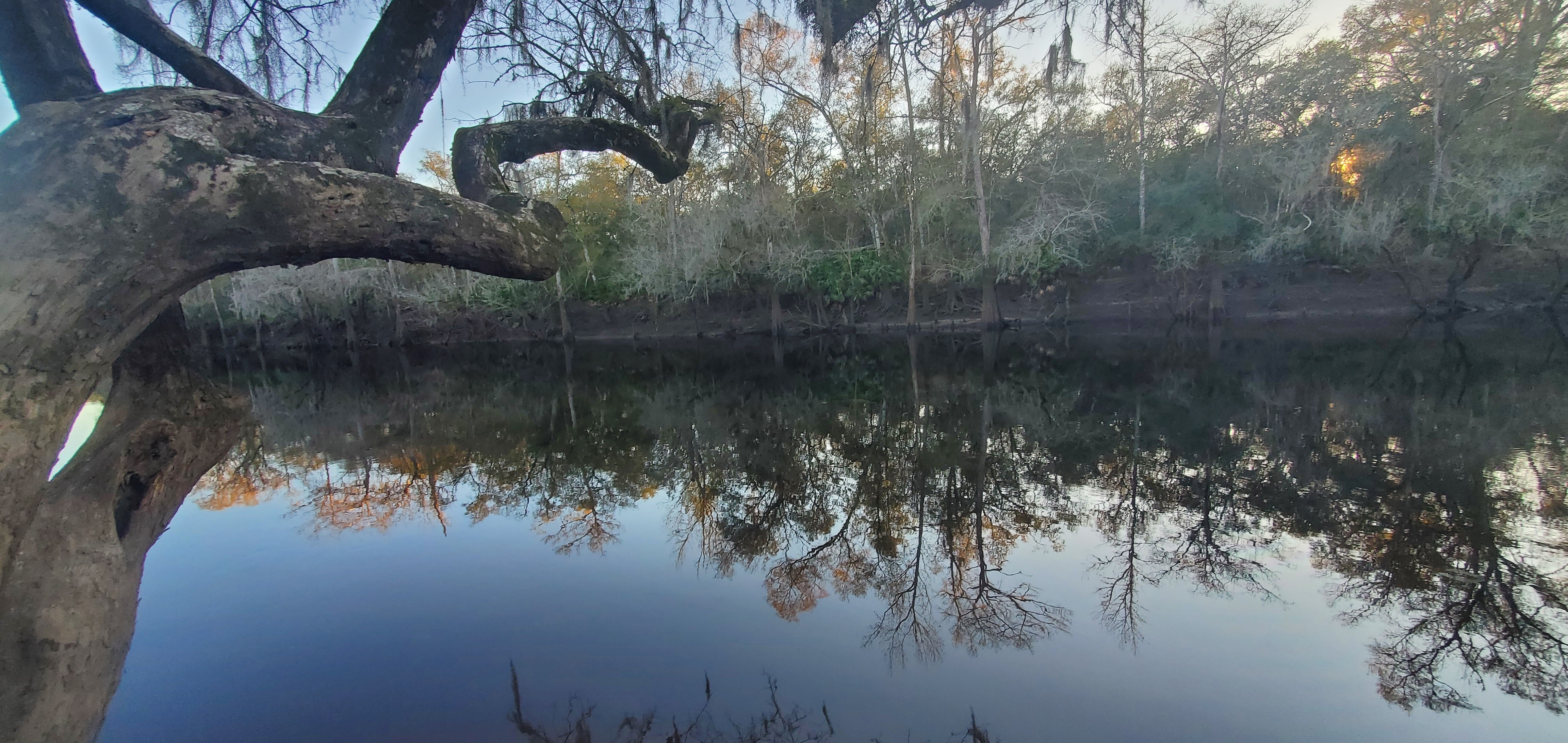 Knights Ferry Boat Ramp upstream, Withlacoochee River @ Knights Ferry Road 2024-01-04