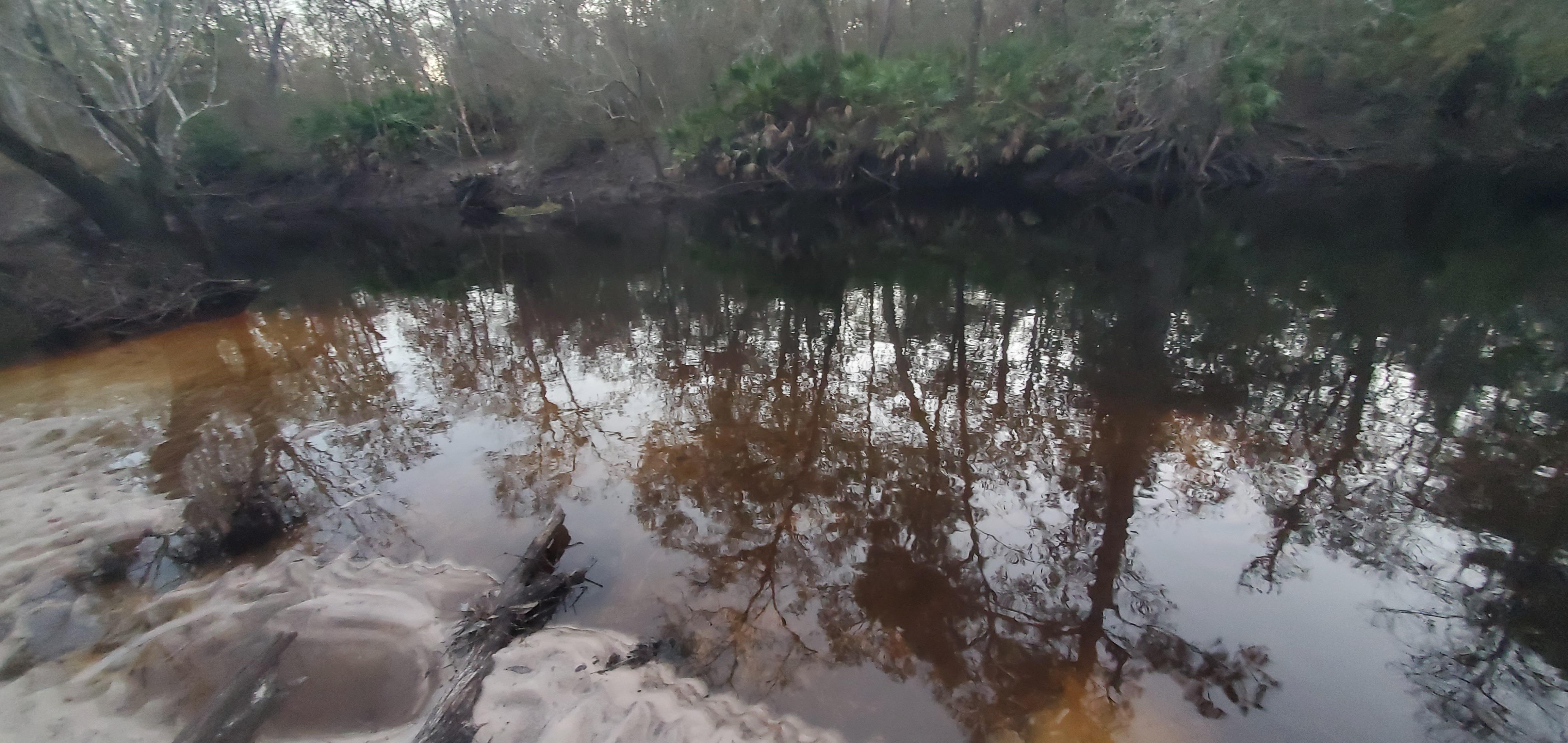 Across, Langdale Park Boat Ramp, Withlacoochee River @ North Valdosta Road 2024-01-04