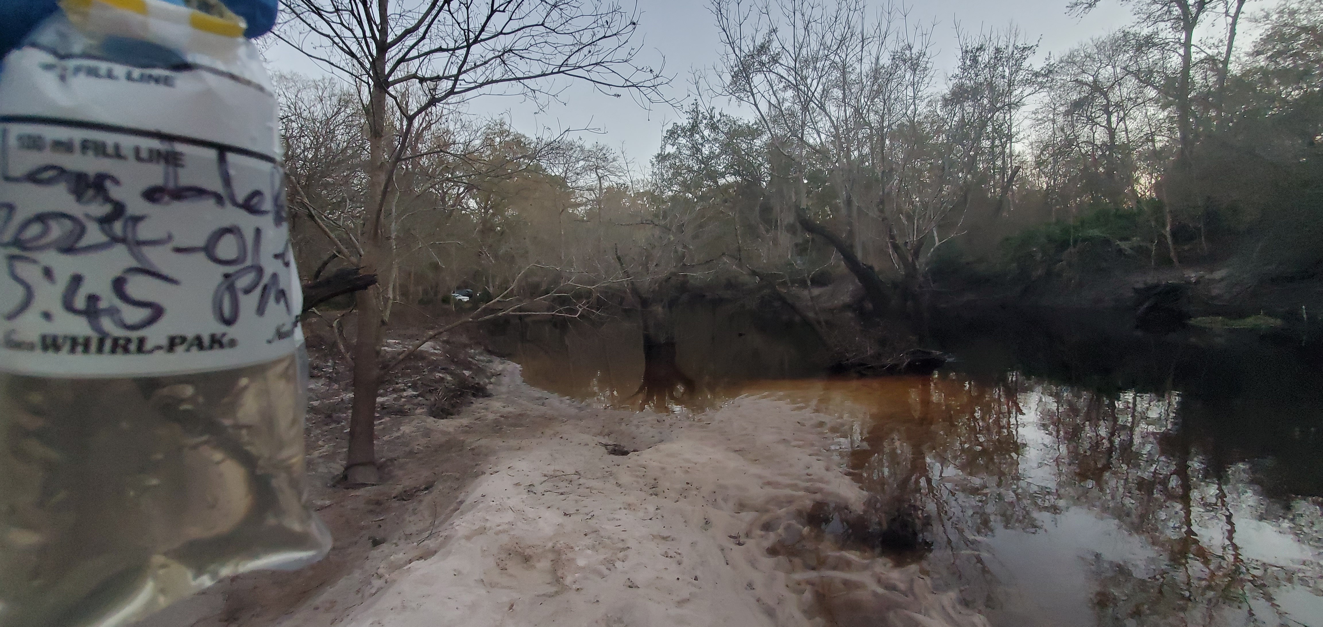 Sample, Langdale Park Boat Ramp, Withlacoochee River @ North Valdosta Road 2024-01-04