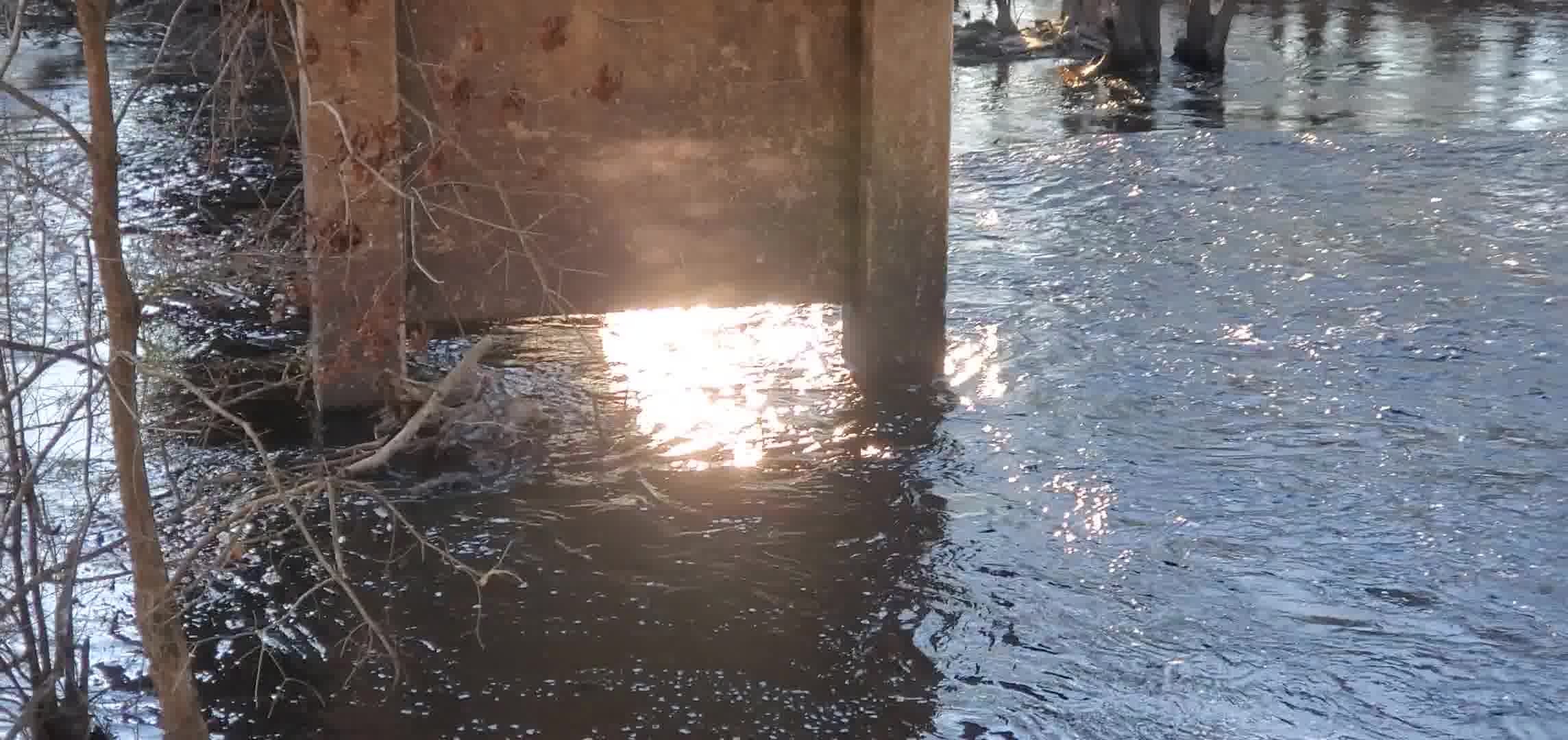 Movie: Level and Flow, Nankin Boat Ramp, Withlacoochee River @ Clyattville-Nankin Road 2024-01-04