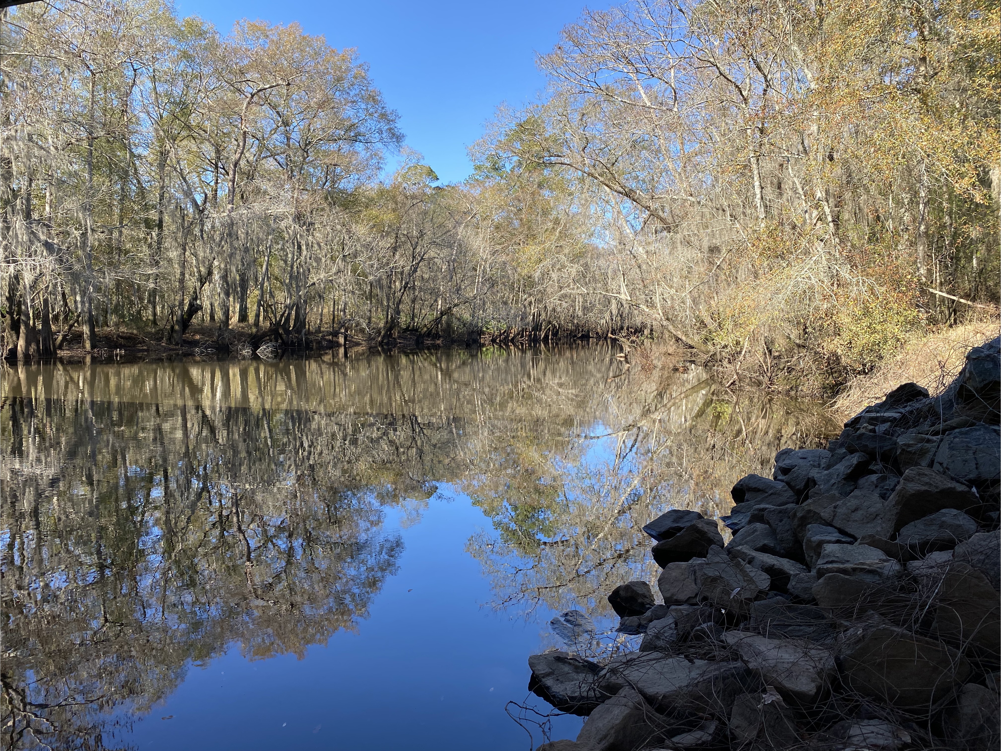 Sheboggy Boat Ramp, Alapaha River @ US 82 2024-01-04