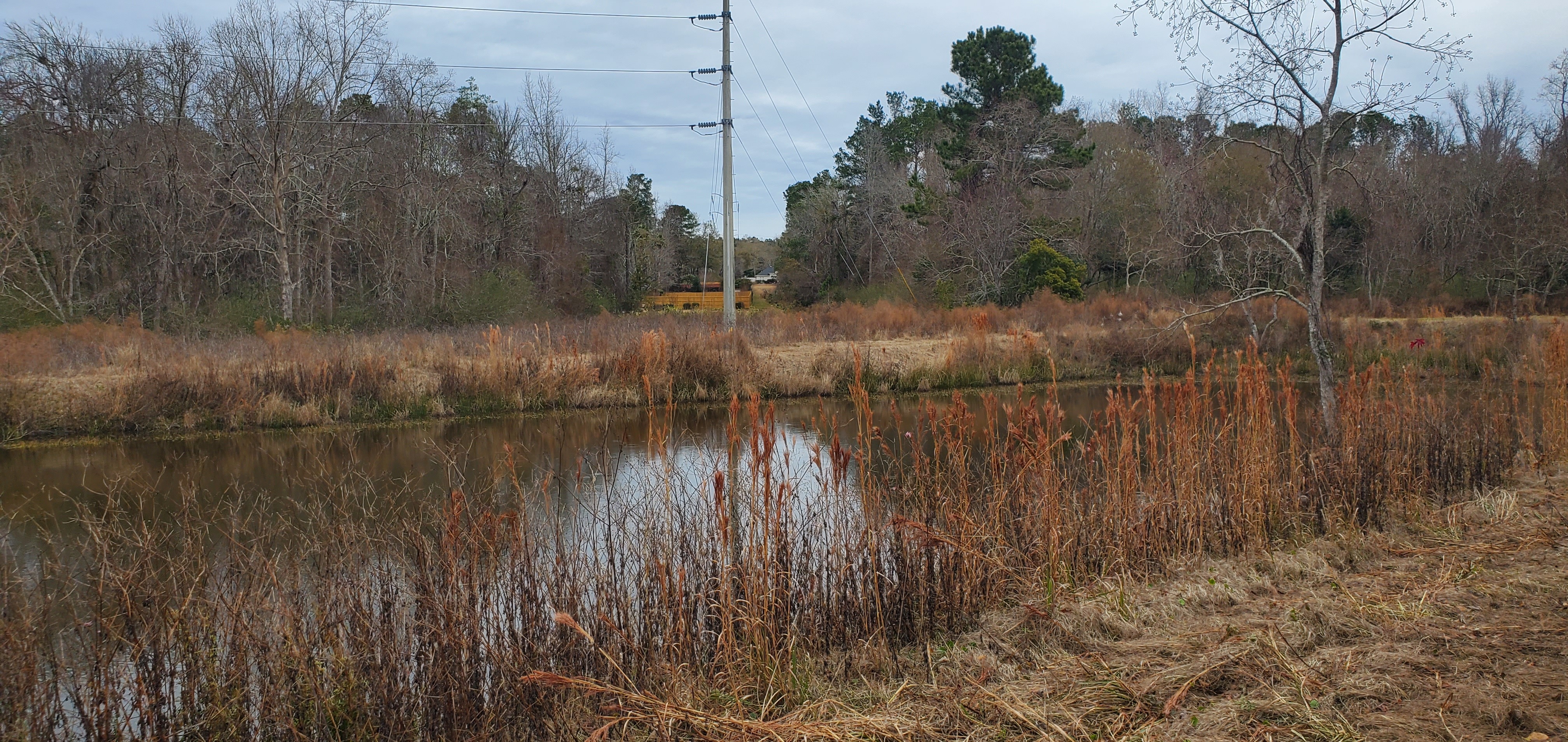 Context, Knob Hill Road across Pebblewood Drive detention pond, 12:46:57, 30.8753849, -83.3141036