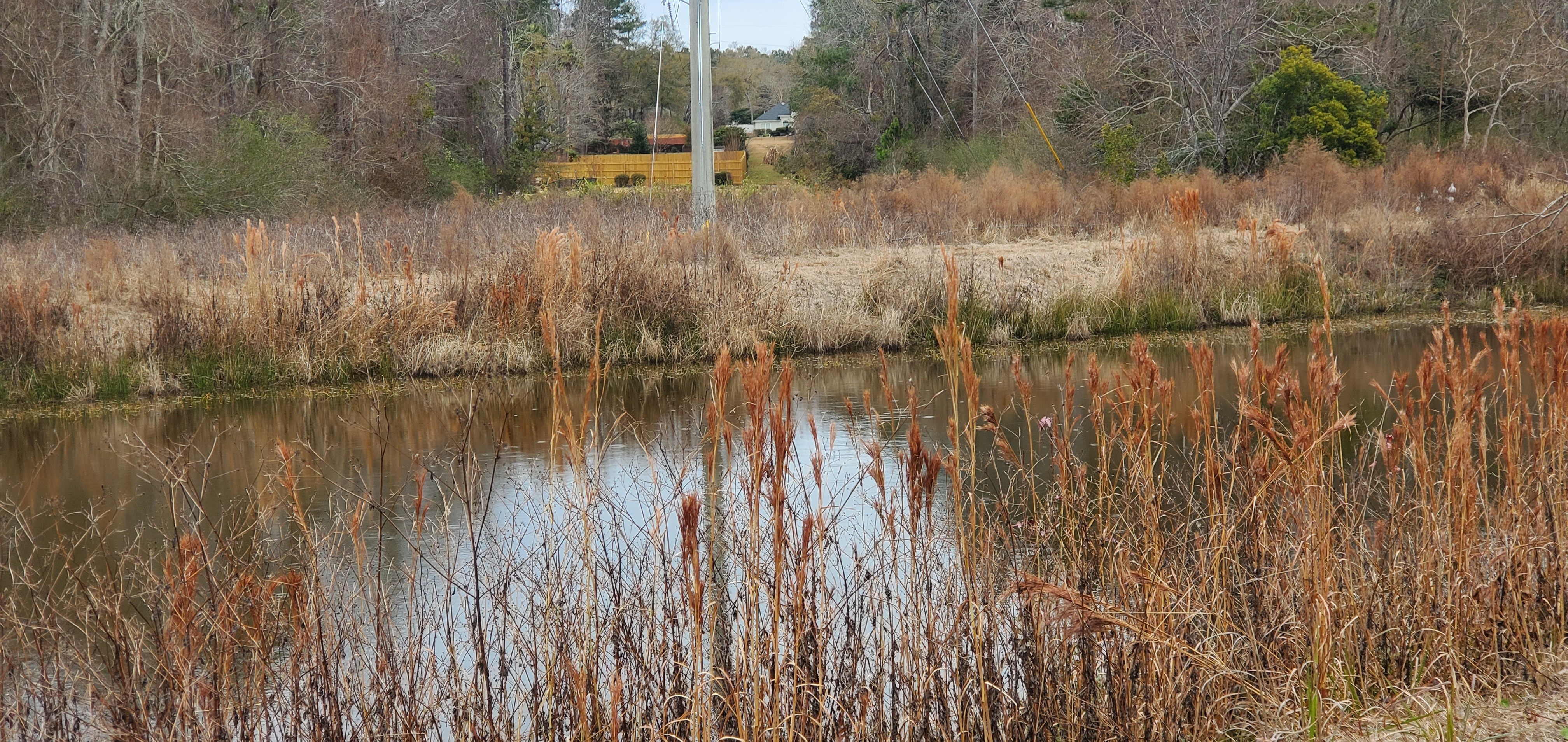 Knob Hill Road across Pebblewood Drive detention pond, , 12:47:00, 30.8753849, -83.3141036