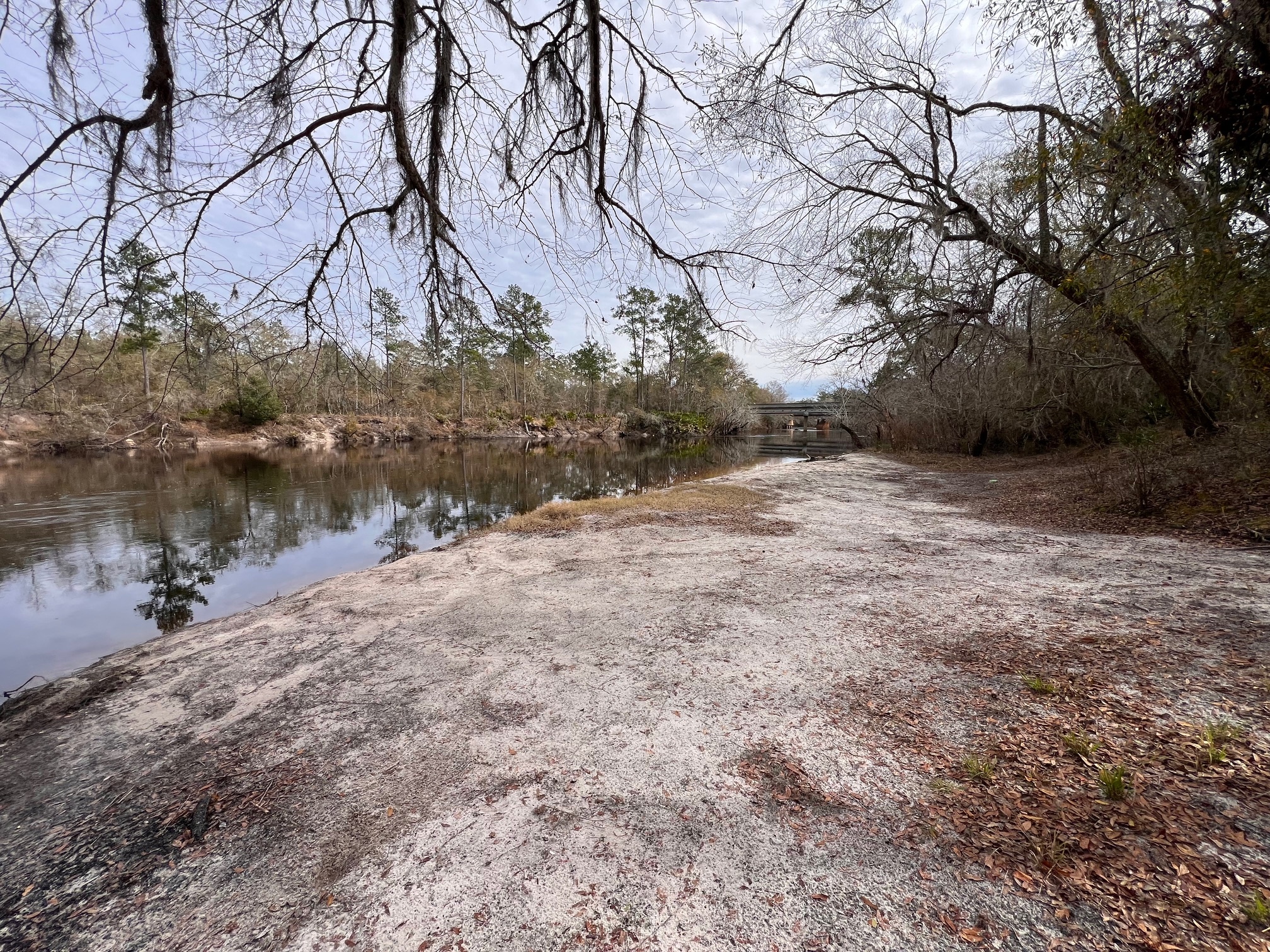 Naylor Park Beach, Alapaha River @ US 84 2024-01-11