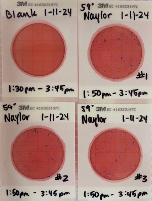 [Plates, Naylor Beach, Alapaha River @ US 84 2024-01-11]