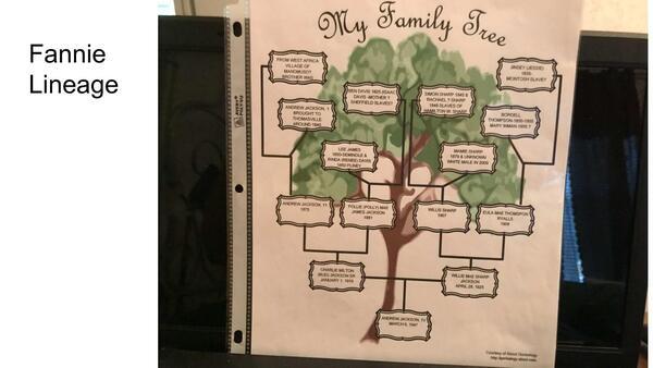 Fannie Lineage