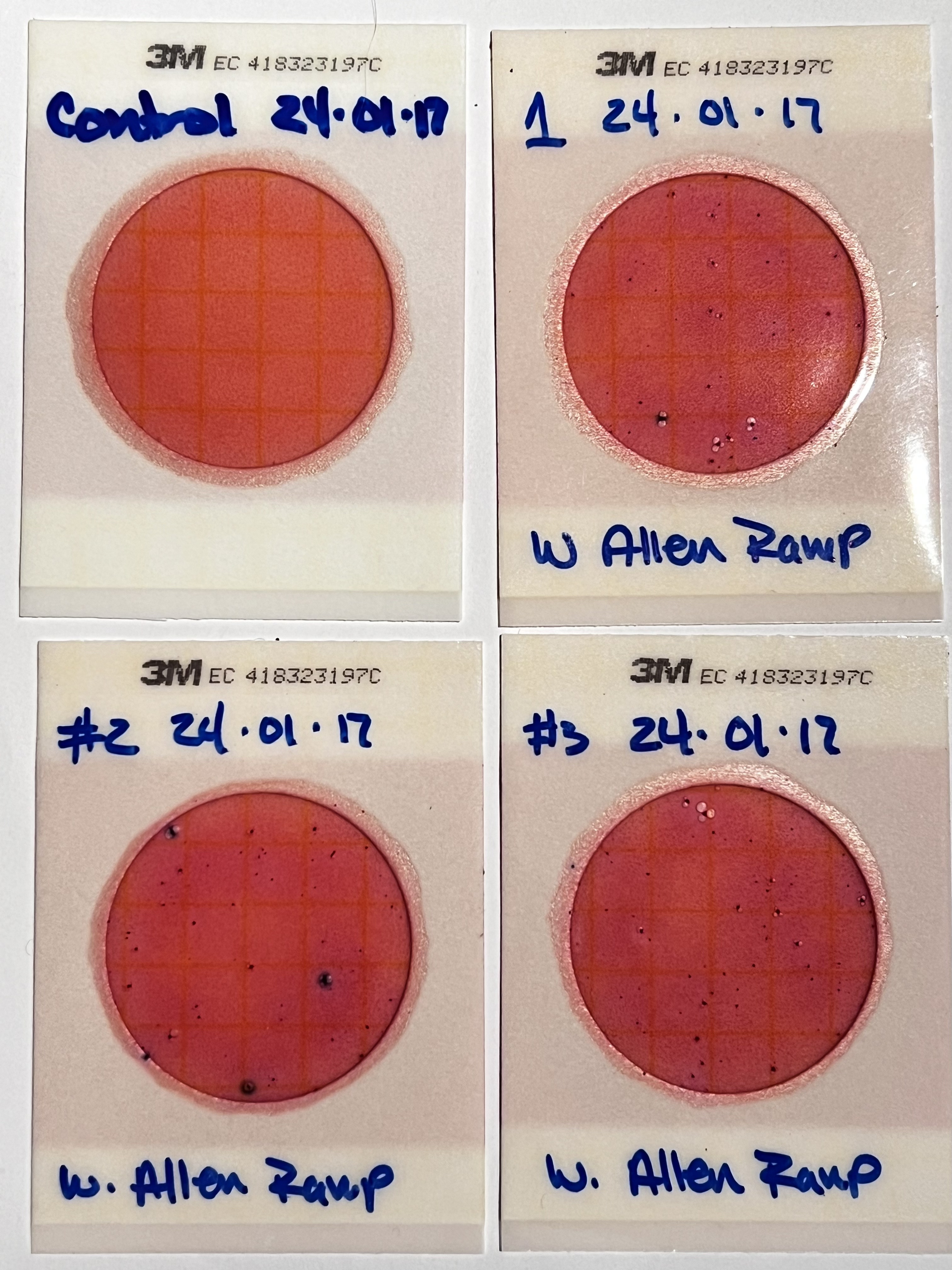 Plates, Allen Ramp 2024-01-17