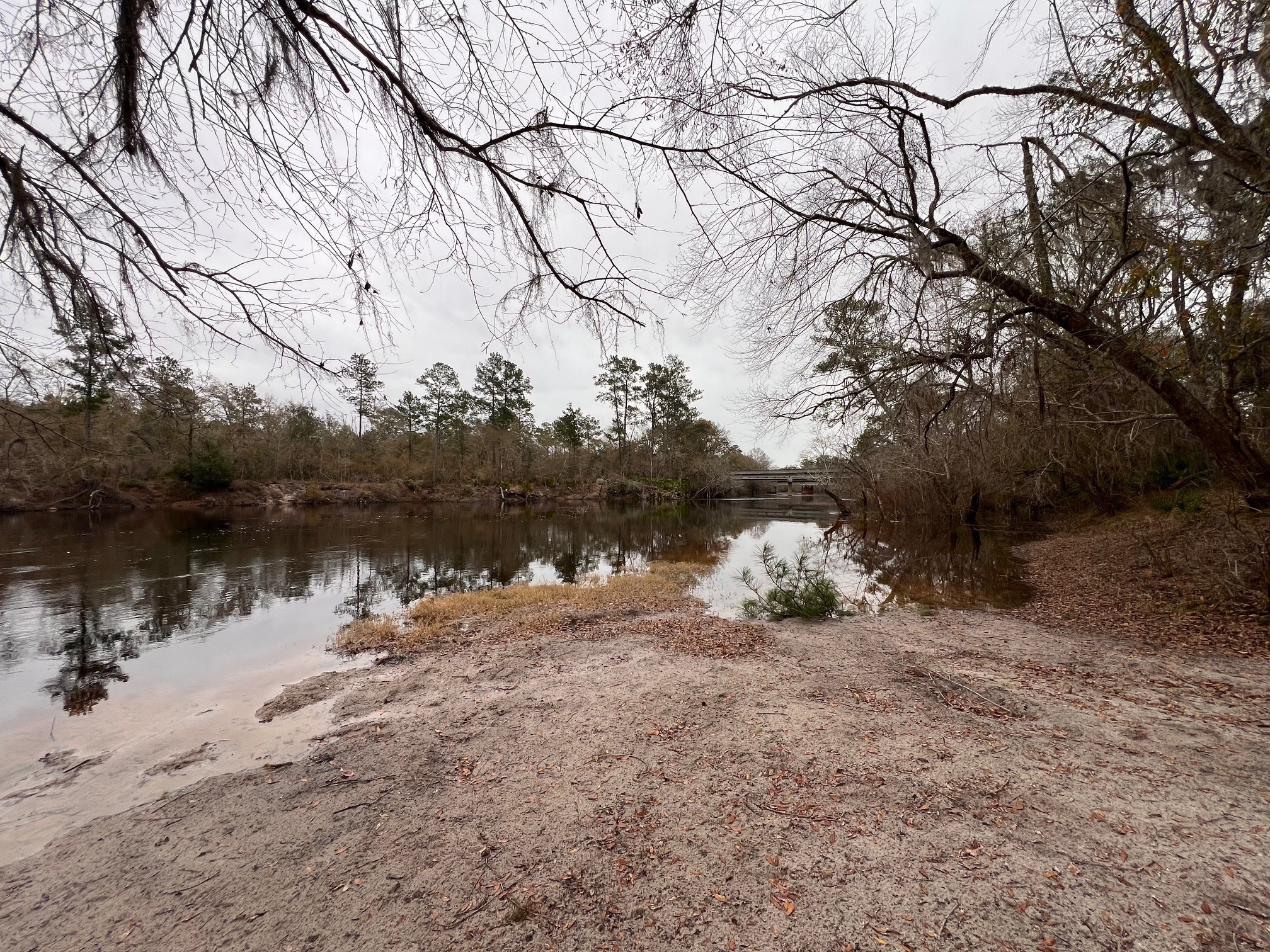 Naylor Park Beach @ US 84, Alapaha River 2024-01-18