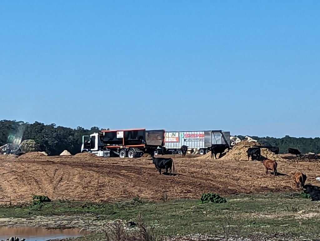 Cows and dump trucks