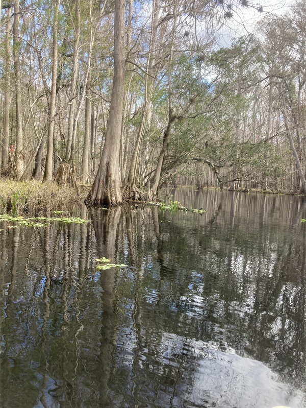 Point Park other, Ichetucknee River @ SW Riverside Ave. 2024-01-25