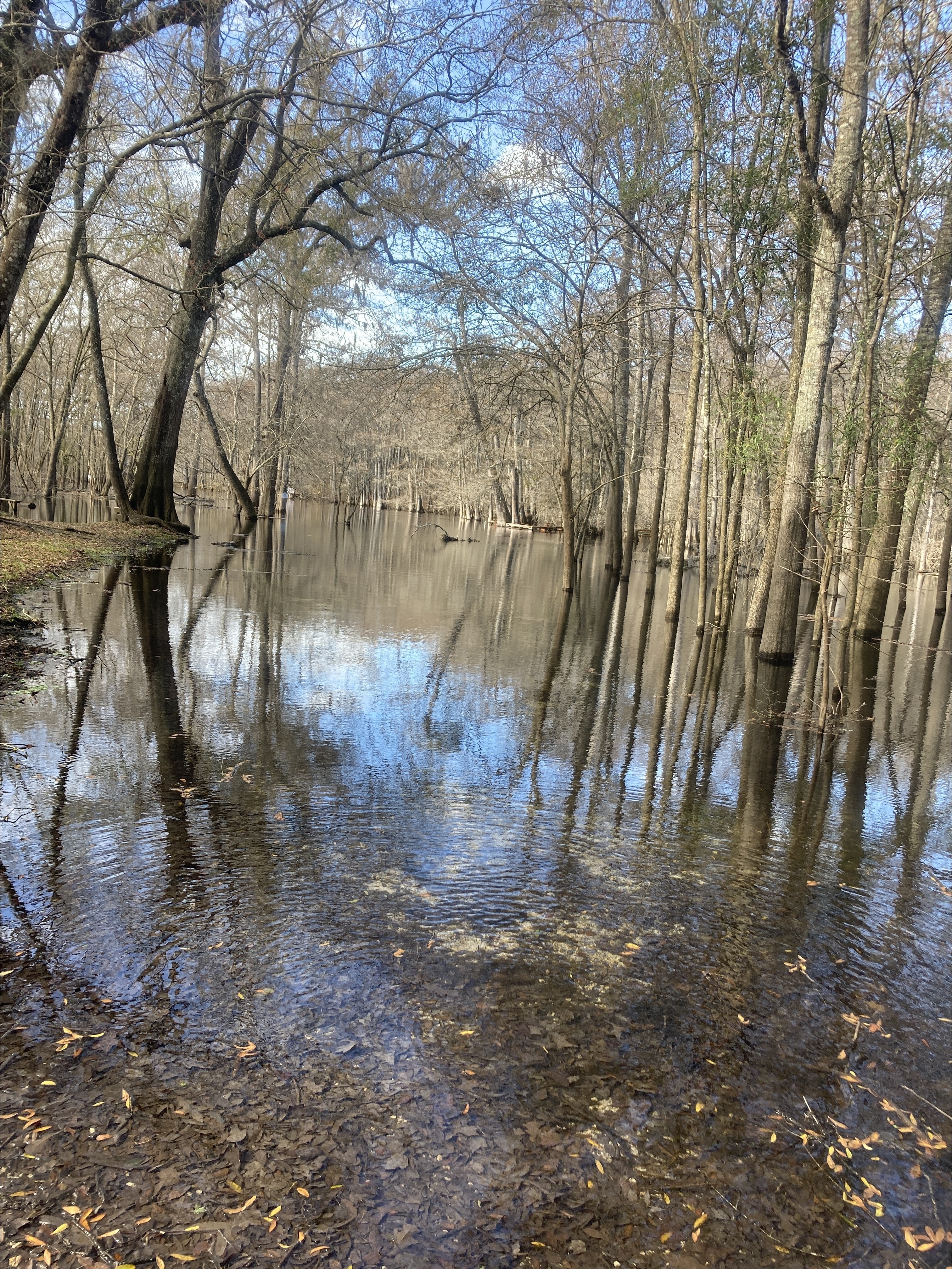 Point Park, Ichetucknee River @ SW Riverside Ave. 2024-01-25