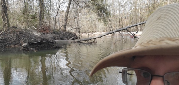 Float under Deadfall, Sugar Creek, 14:42:56, 30.8642580, -83.3199785