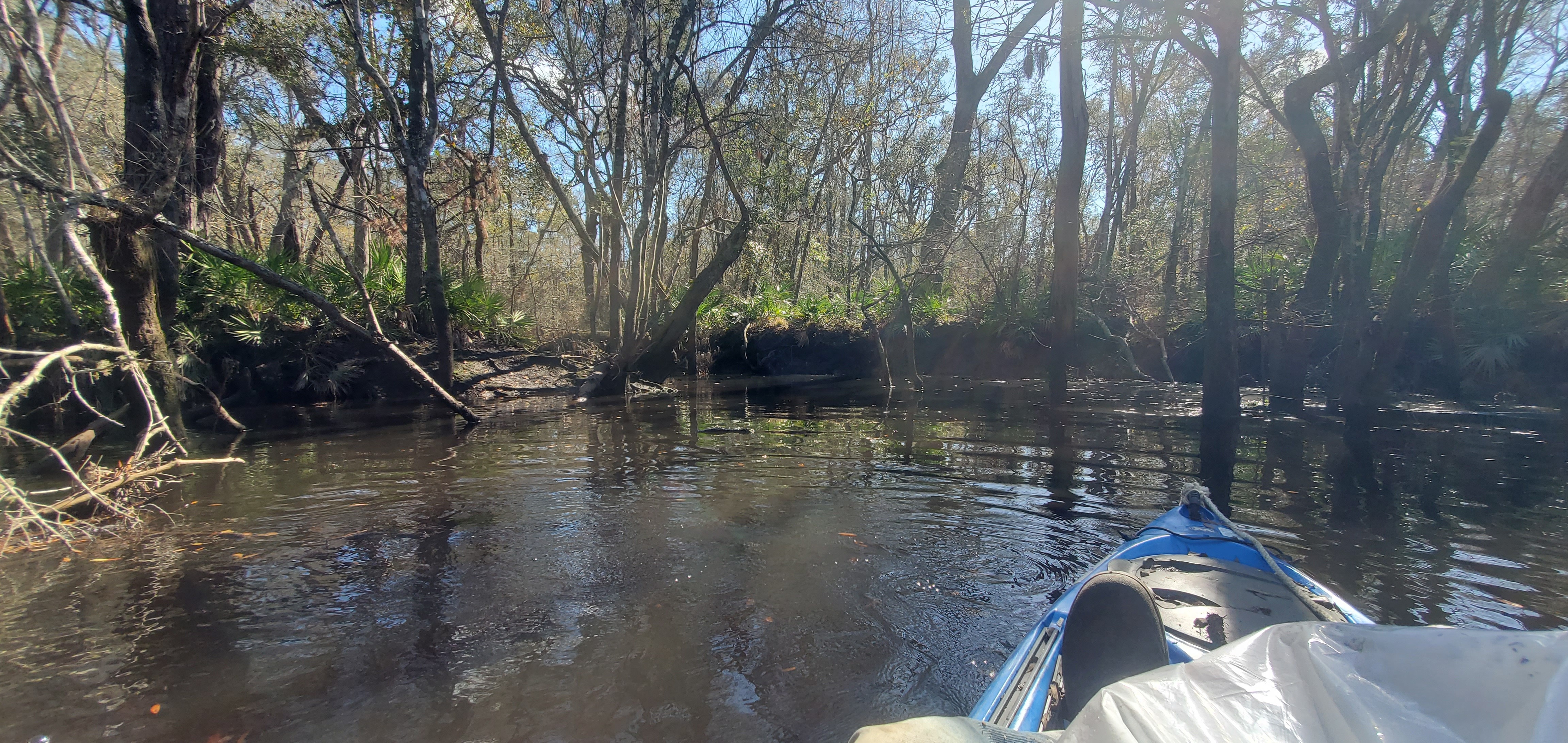 River overlook and Three Mile Branch Confluence, 11:36:38, 30.8755688, -83.3232229