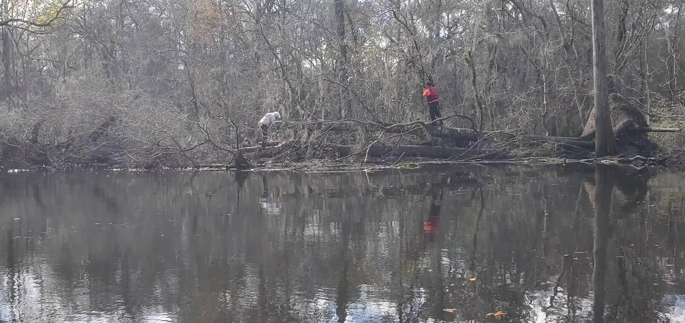 Movie: Don't try this at home: Phil and Russell on a deadfall, 30.8734471, -83.3249284 (40M)