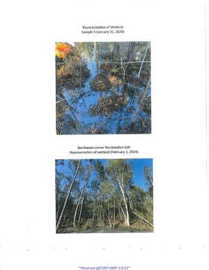 [Photos: Representation of wetland, Northwest corner reclamation cell]