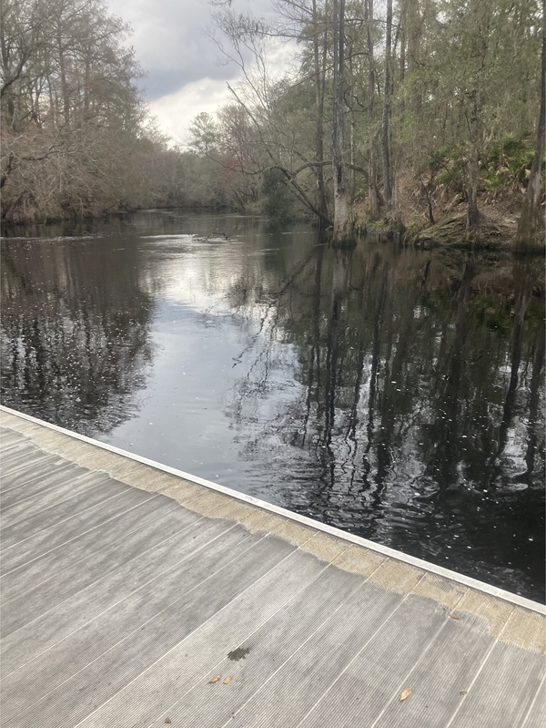 River, O'Leno Dock, Santa Fe River @ O'Leno Park Road 2024-02-04