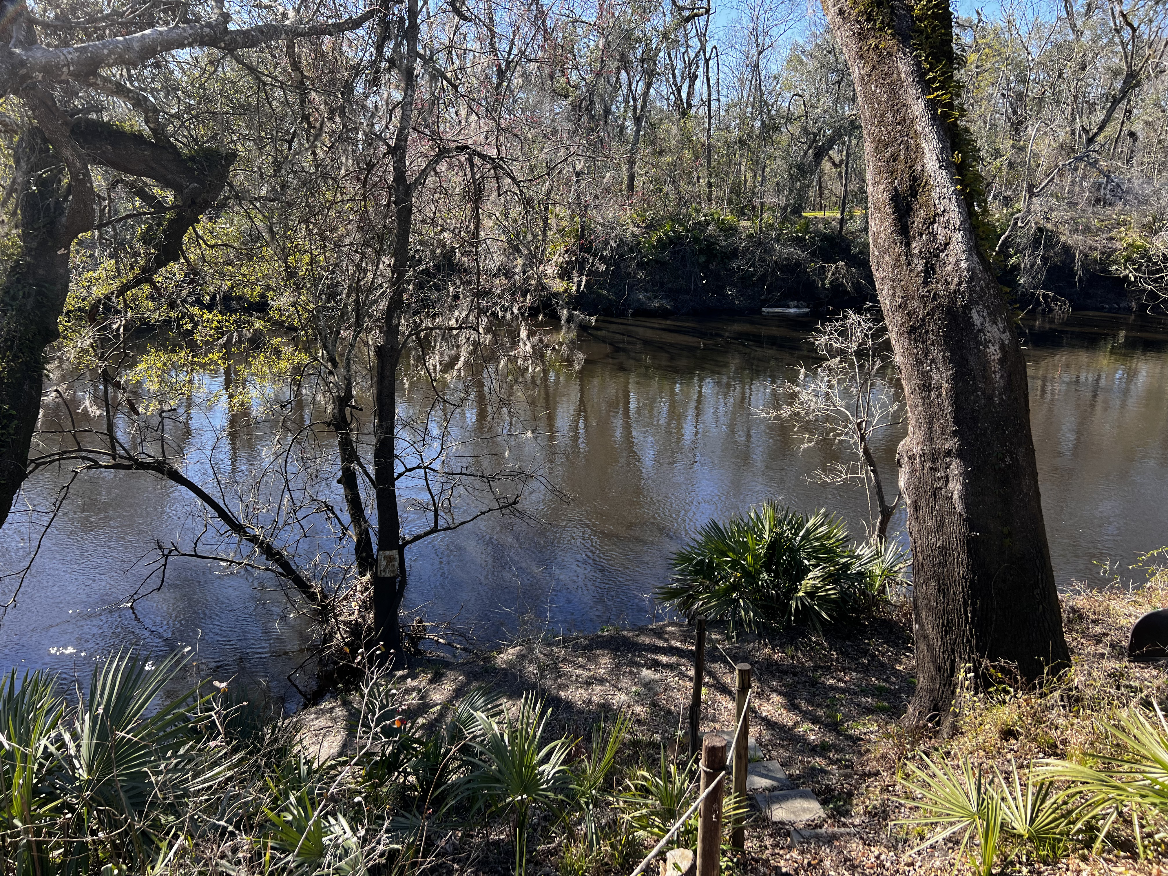 Holly Point, Withlacoochee River @ NE Withla Bluffs Way 2024-02-07