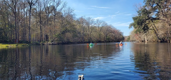 WKFL below power line, Gilchrist Blue Springs State Park, 13:11:13, 29.8336191, -82.6873627