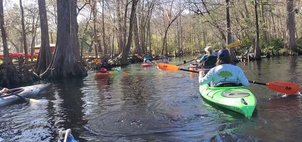 Movie: Ginnie Spring in Ginnie Springs Private Park, off season, 13:55:20, 29.8365, -82.6994 (35M)