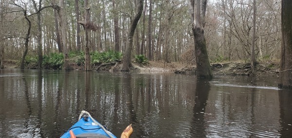 [Crowe Creek with sign, 12:33:30, 30.8538952, -83.3375719]