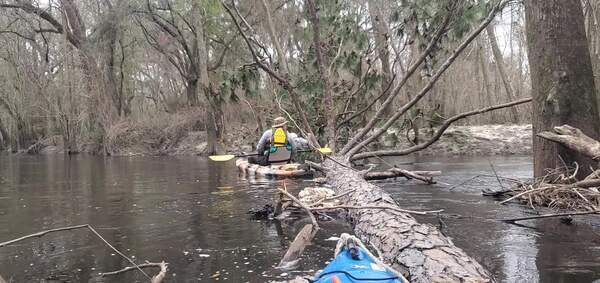 [Movie: Shawn pole-sawing branches, 30.8511759, -83.3390244 (5.1M)]