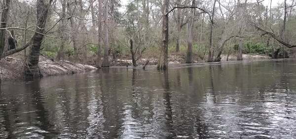 Movie: Water coming fast out of a slough, 13:05:55, 30.8477903, -83.3430804 (27M)