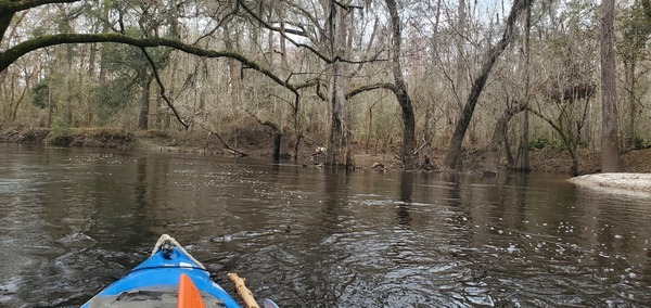 [Pesticide barrel on right bank, 13:13:13, 30.8451307, -83.3448850]