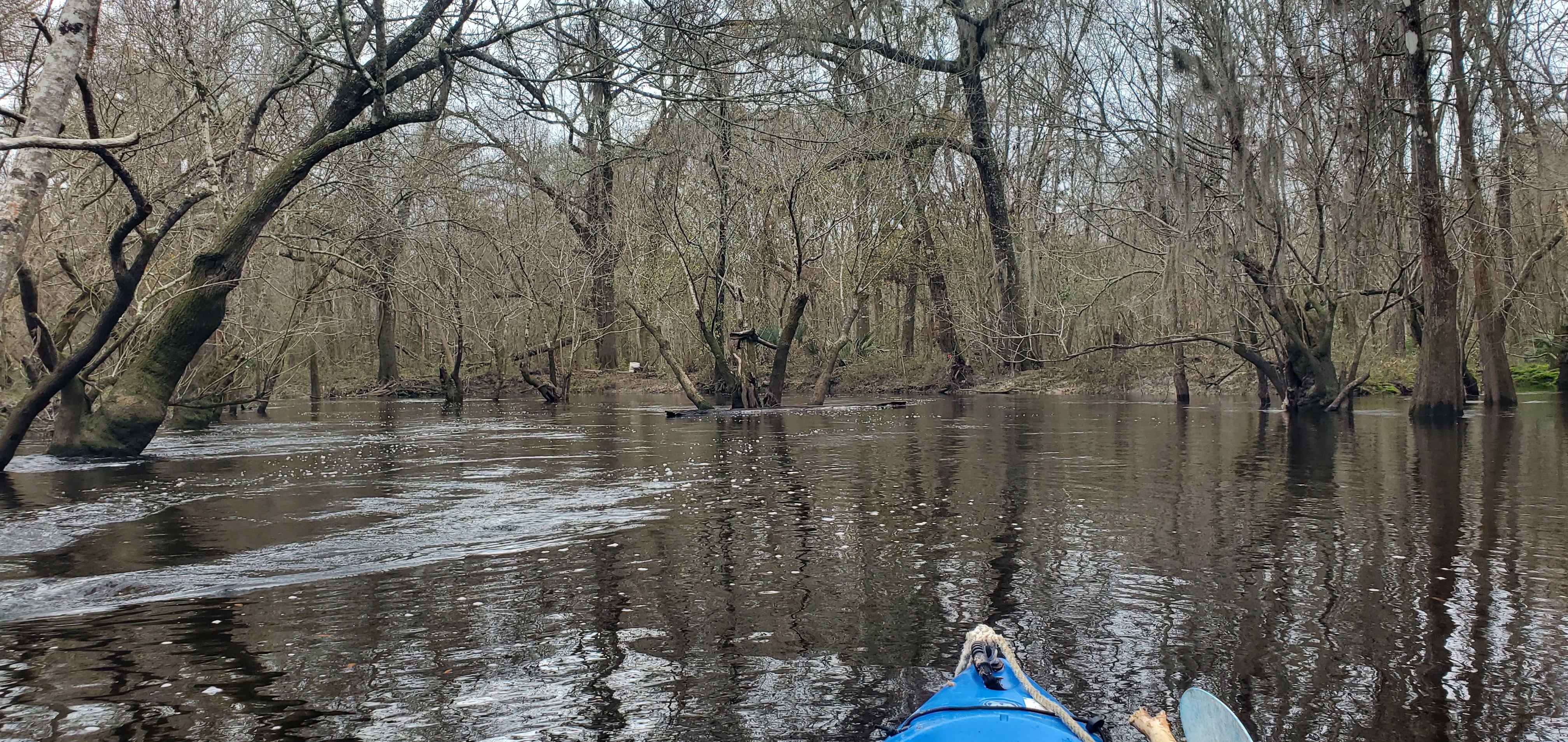 Trash can, right bank, 11:23:26, 30.8592381, -83.3262130