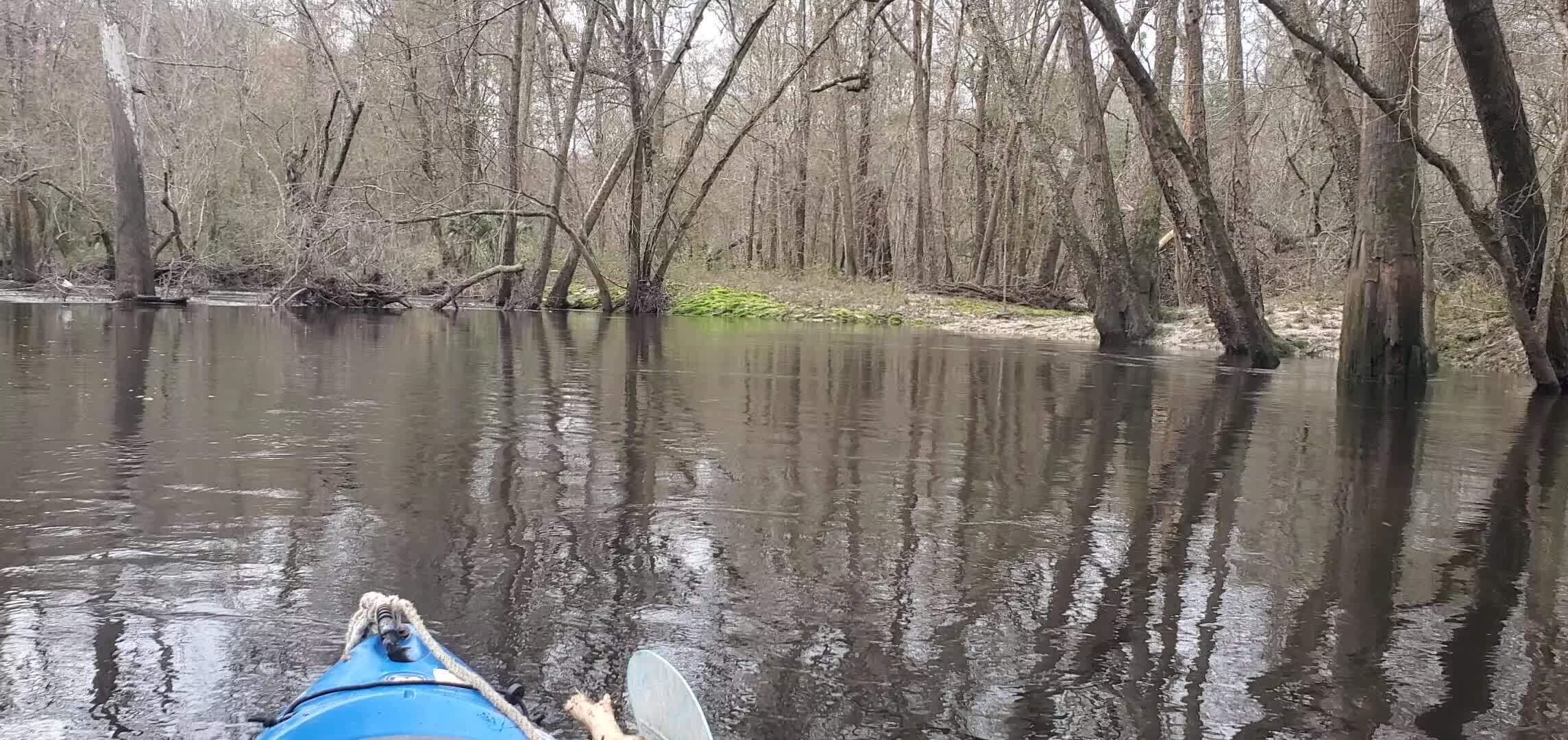 Movie: Right bank, Valdosta sewer line, 11:29:19, 30.8576405, -83.326 (5.6M)