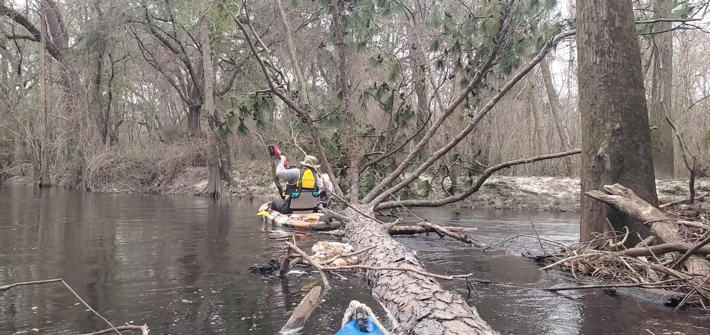 Movie: Shawn pole-sawing, 12:41:12, 30.8514385, -83.3392618 (11M)