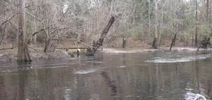 [Movie: Another little landowner bridge, steps, posted sign, 30.8544009, -83.3325427 (20M)]