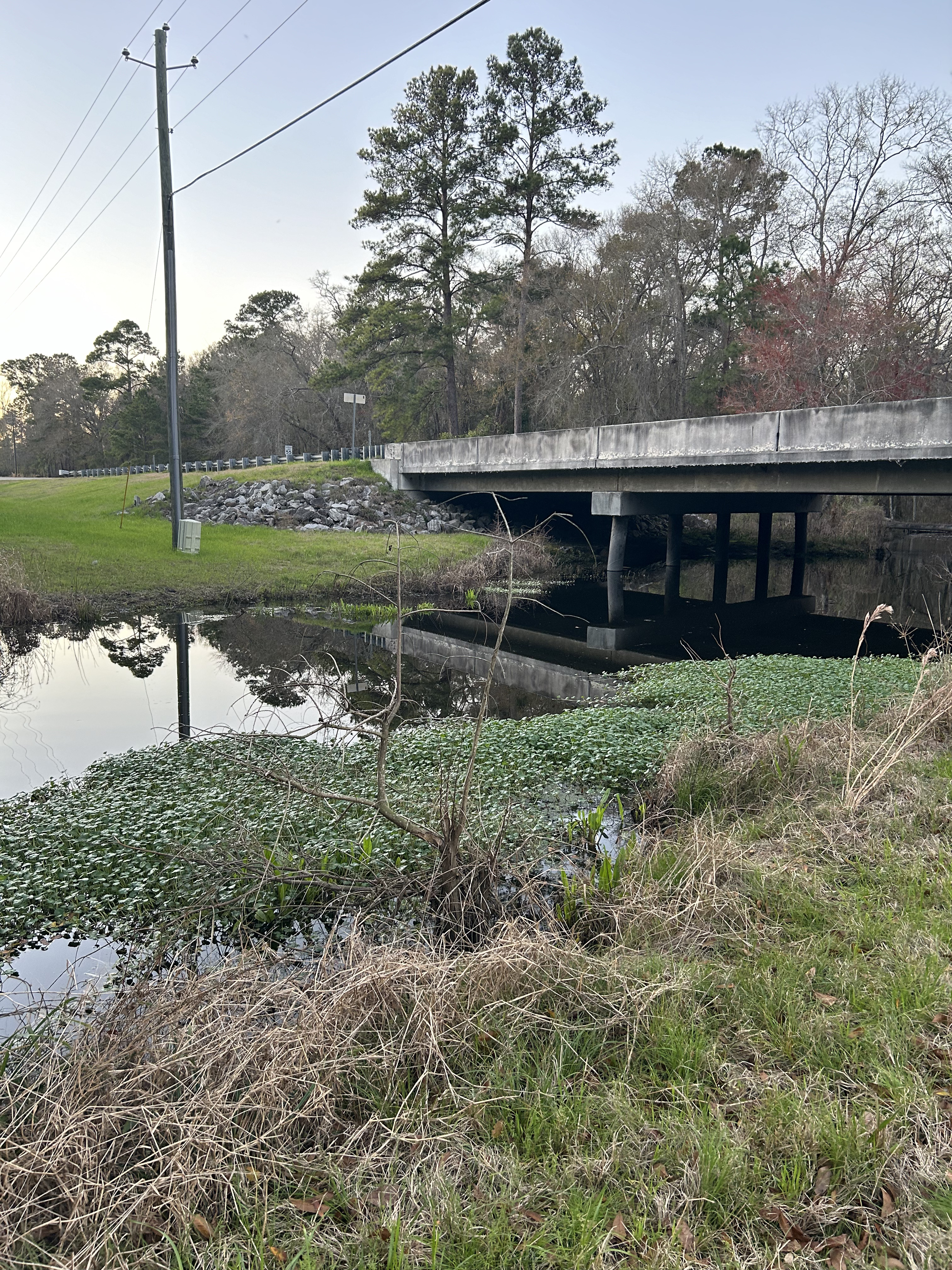 Franks Creek @ GA 122 Bridge, 2024-02-14