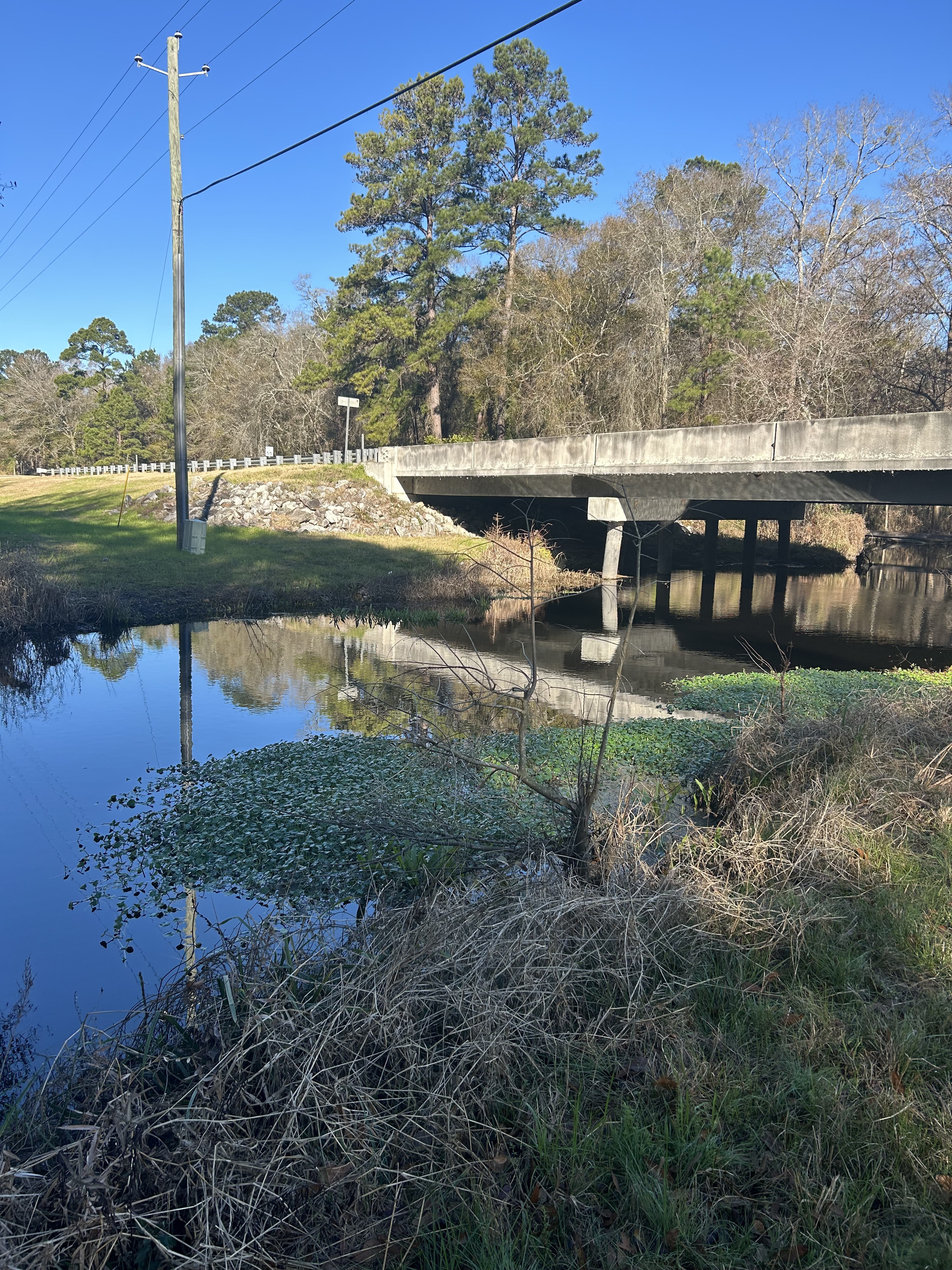 Franks Creek @ GA 122, 2024-01-31