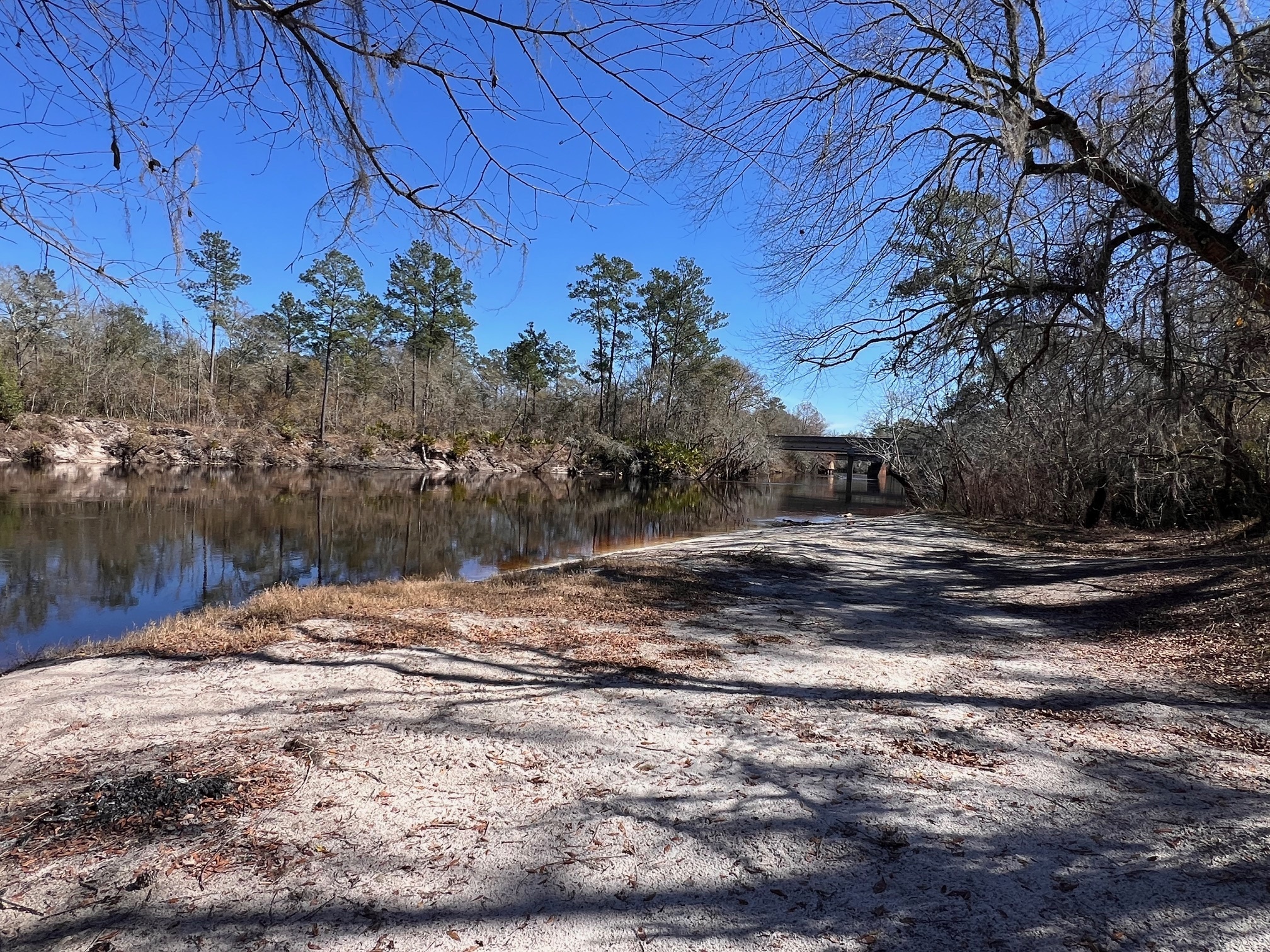 Naylor Park Beach, Alapaha River @ US 84 2024-02-14