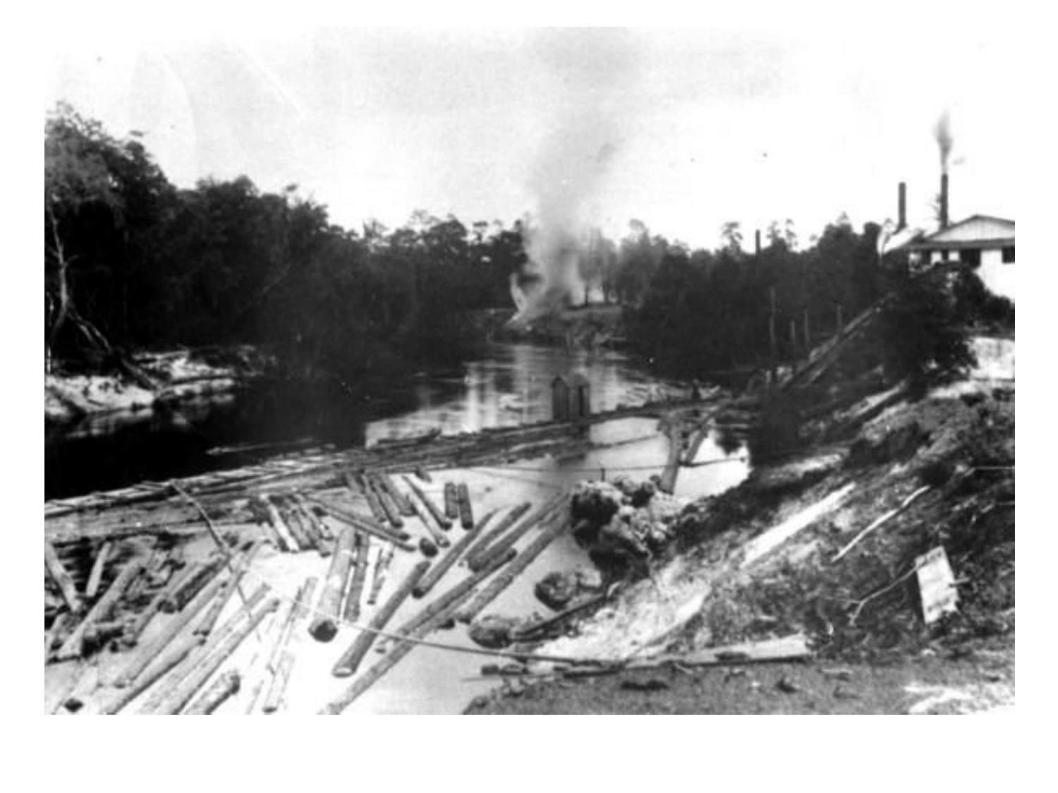 Photo: Ellaville log boom