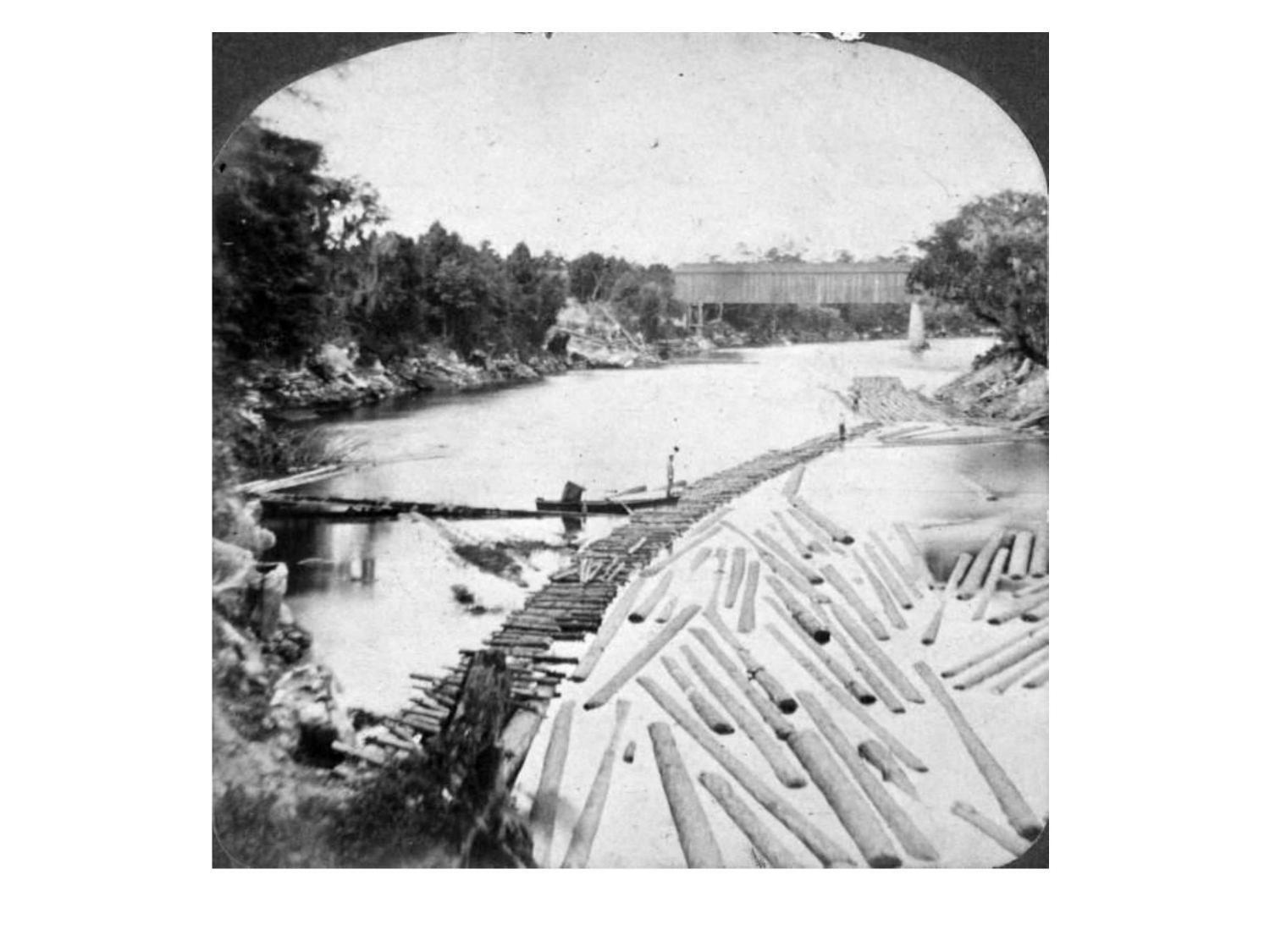 Photo: Ellaville log boom and bridge